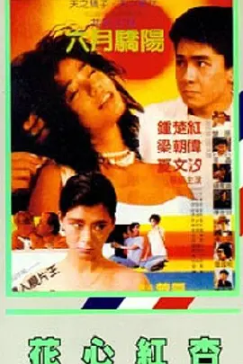 国产网红在线观看